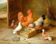 unknow artist poultry  141 oil painting reproduction